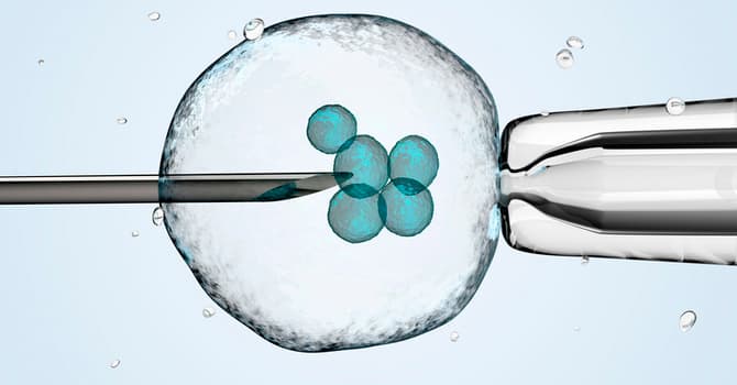 Stem Cell Therapy